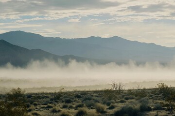 Fototapeta premium A dust storm sweeping across a desert landscape, with sand swirling and reducing visibility.