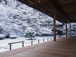 積雪した日の庭園
