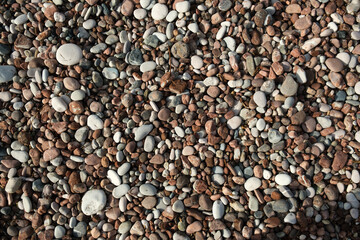 Colorful Pebble Beach Texture Close-Up