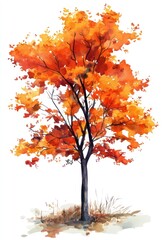 Autumn Watercolor Painting Of A Single Tree