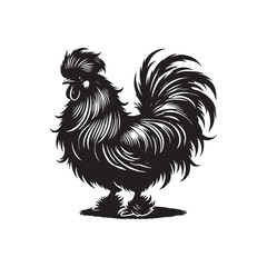 Black Color Silkie Chicken silhouette design Vector Illustration, Solid White Background (4).eps