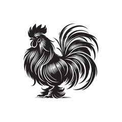 Black Color Silkie Chicken silhouette design Vector Illustration, Solid White Background (3).eps