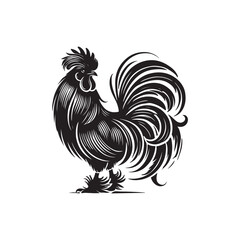 Black Color Silkie Chicken silhouette design Vector Illustration, Solid White Background (5).eps