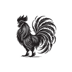Black Color Silkie Chicken silhouette design Vector Illustration, Solid White Background (8).eps