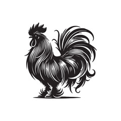 Black Color Silkie Chicken silhouette design Vector Illustration, Solid White Background (12).eps