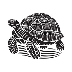Black Color Tortoise silhouette design Vector Illustration, Solid White Background (12).eps