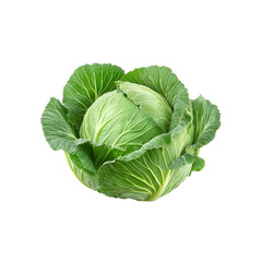 Obraz premium Fresh Green Cabbage Isolated on Transparent Background