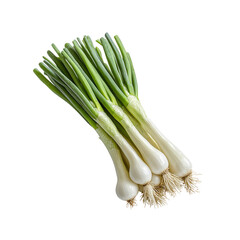 Fresh Bundle of Green Onions, Scallions, Spring Onions Isolated on Transparent Background