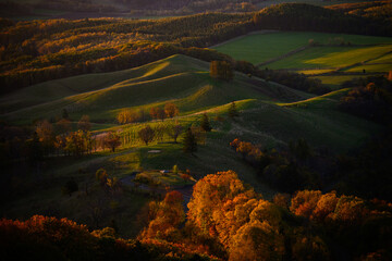 2024　autumn