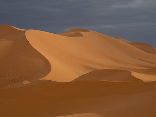 Sand Dune Ridge in the Sahara Desert