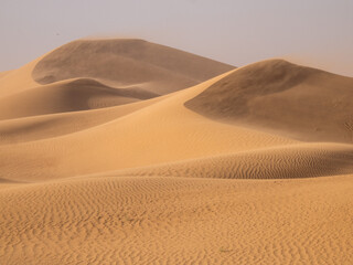 High sand dunes in the Sahara Desert, Morocco