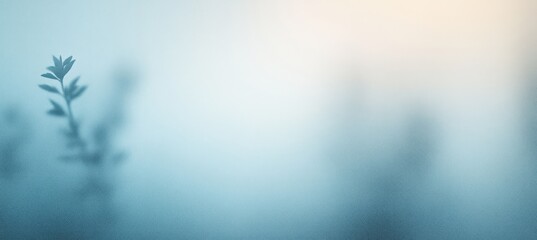 Calm pastel blue and white gradient background with soft textures and subtle variations for web and graphic design