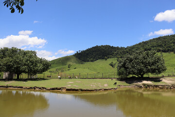 A farm landscape with goats, trees, mountains, and a lake.
