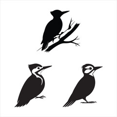 Obraz premium woodpecker silhouette set vector illustrations 