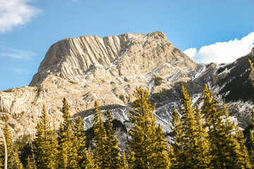 A mountain with snow on it and trees in the foreground