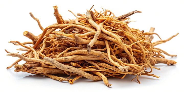 High-Resolution Image of Dried Codonopsis Roots Isolated on White Background