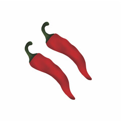 Big red chili peppers are hot and spicy