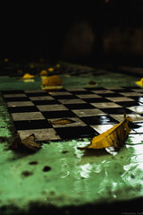 Wet chess board in park
