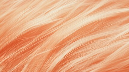 Close-up Shot of Peach Fuzz Soft Fluffy Long-haired Colored Fur,