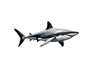 Fototapeta premium shark isolated on white background