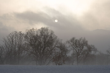 朝の風景　冬