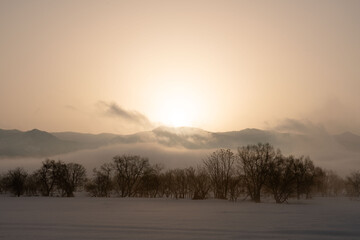 朝の風景　冬
