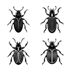 beetle animal set icon vector.