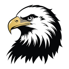 american bald eagle