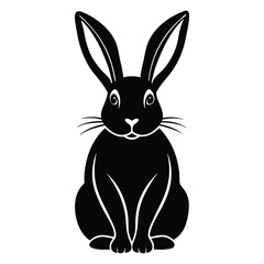 white rabbit on white background