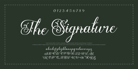 Hand drawn vector alphabet. Modern monoline signature script font. Elegant Signature Font. Best Alphabet Beautiful Calligraphy Signature Font