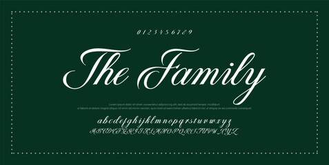 Hand drawn vector alphabet. Modern monoline signature script font. Elegant Signature Font. Best Alphabet Beautiful Calligraphy Signature Font