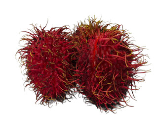 Fototapeta premium rambutan on white background