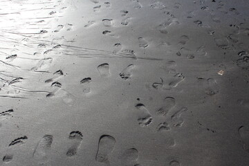 footprints on the beach with black sand