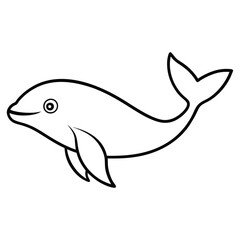 dolphin isolated on white