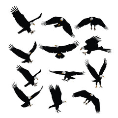 Obraz premium Eagle Vector Illustration Set, Black and White Silhouettes. Collection of Different Eagle Poses