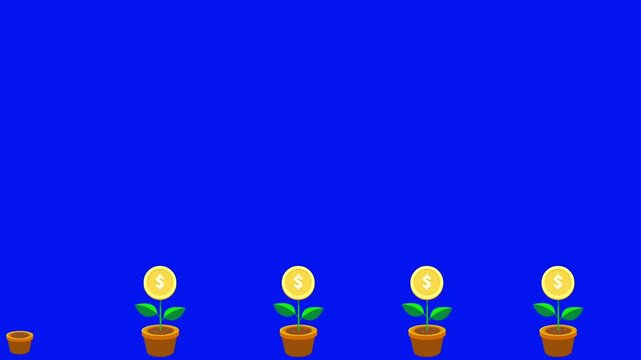 money plant dollar coin sign icon. money grouth symbolic blue screen.