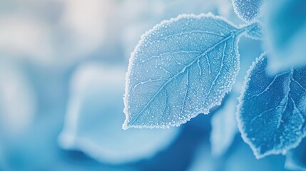A close-up of icy, frosted leaves in a calm winter setting, glowing softly in cool blue tones. The frost crystals highlight the intricate patterns on the leaves, capturing the serene beauty of winter.