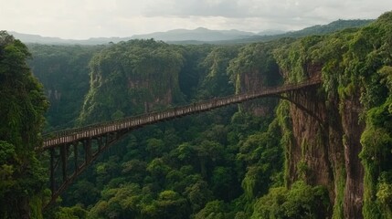 Fototapeta premium Aerial View of a Suspension Bridge in a Lush Green Valley
