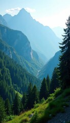 Fototapeta premium Mountain ridgeline with dense forest and sunlight filtering through, natural canopy, sunlight, trees