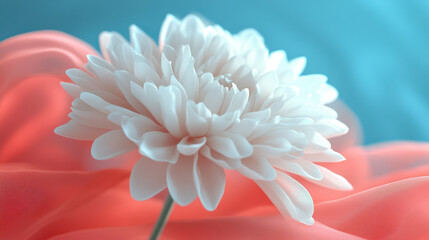 Obraz premium beautiful and elegant white flower with delicate petals, resting on soft coral fabric, creating serene and calming atmosphere. gentle colors enhance floral beauty
