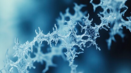 Intricate Patterns of Ice Captured with Macro Lens