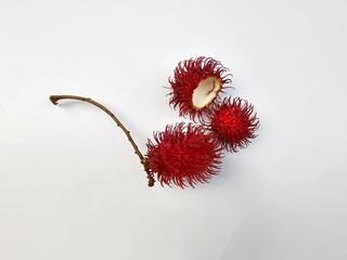 Rambutan Fruit on a White Background, closeup of rambutan on a white background