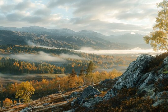 Misty morning in the mountains. Golden hour light illuminates the valley below, creating a magical autumn landscape.