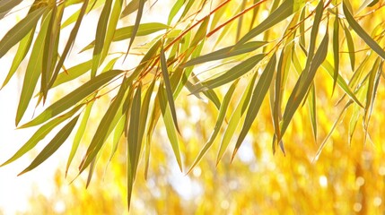 Golden Hour Leaves: A Symphony of Sunlight and Foliage