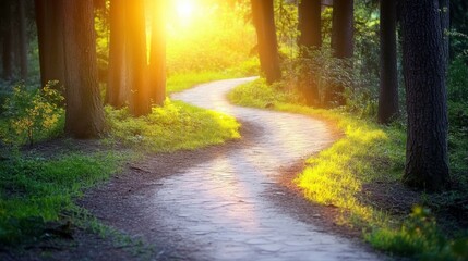 Fototapeta premium Winding Path Through Trees at Golden Hour Light