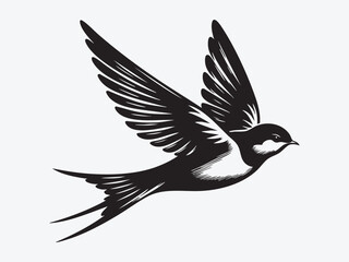Fototapeta premium Swift Bird Silhouette Vector Illustration