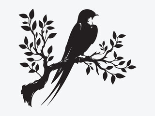 Swift Bird Silhouette Vector Illustration