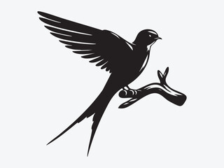 Swift Bird Silhouette Vector Illustration