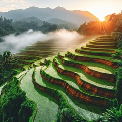 Stunning Panoramic View of Lush Green Terraced Rice Fields in Mountainous Landscape at Sunrise with Mist and Sunlight in Rural Asia - A Serene Natural Scene