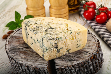 Gourmet blue cheese with mold